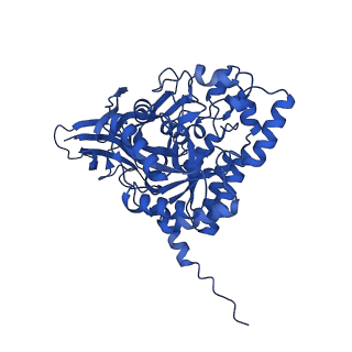 27574_8dnm_D_v1-1
Human Brain Dihydropyrimidinase-related protein 2