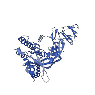 27577_8dnr_A_v1-1
Prefusion-stabilized Hendra virus fusion protein