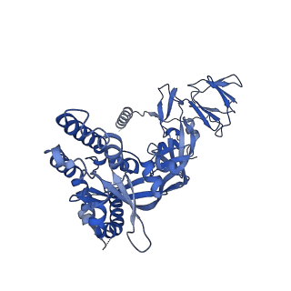 27577_8dnr_A_v1-2
Prefusion-stabilized Hendra virus fusion protein