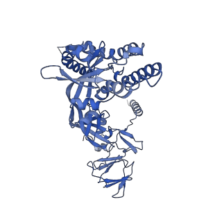 27577_8dnr_B_v1-1
Prefusion-stabilized Hendra virus fusion protein