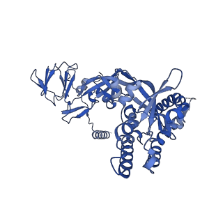 27577_8dnr_E_v1-1
Prefusion-stabilized Hendra virus fusion protein