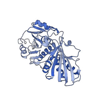 27579_8dns_O_v1-1
Human Brain Glyceraldehyde 3-phosphate dehydrogenase