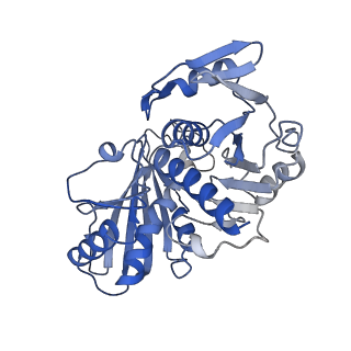 27579_8dns_P_v1-1
Human Brain Glyceraldehyde 3-phosphate dehydrogenase