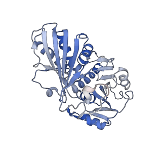 27579_8dns_Q_v1-1
Human Brain Glyceraldehyde 3-phosphate dehydrogenase