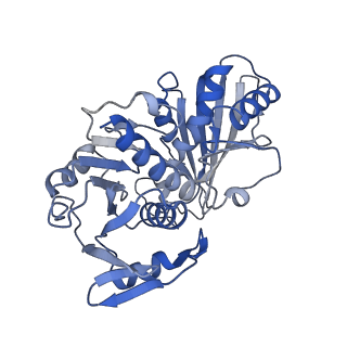 27579_8dns_R_v1-1
Human Brain Glyceraldehyde 3-phosphate dehydrogenase