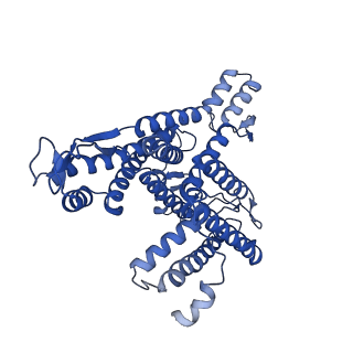 27583_8dnx_A_v1-1
Cryo-EM structure of the human Sec61 complex inhibited by cotransin