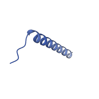 27584_8dny_C_v1-1
Cryo-EM structure of the human Sec61 complex inhibited by decatransin