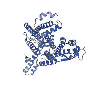 27585_8dnz_A_v1-1
Cryo-EM structure of the human Sec61 complex inhibited by apratoxin F