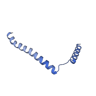 27585_8dnz_B_v1-1
Cryo-EM structure of the human Sec61 complex inhibited by apratoxin F