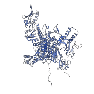30779_7dn3_A_v1-1
Structure of Human RNA Polymerase III elongation complex