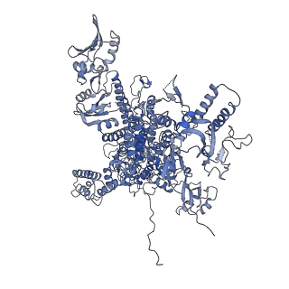 30779_7dn3_A_v1-2
Structure of Human RNA Polymerase III elongation complex