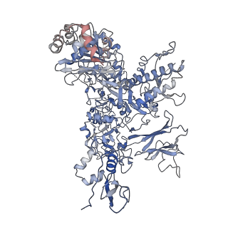 30779_7dn3_B_v1-2
Structure of Human RNA Polymerase III elongation complex