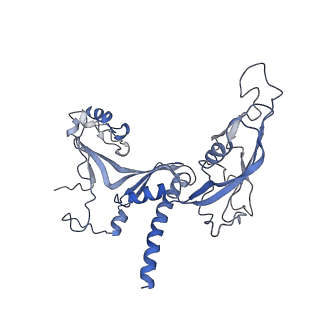 30779_7dn3_C_v1-1
Structure of Human RNA Polymerase III elongation complex