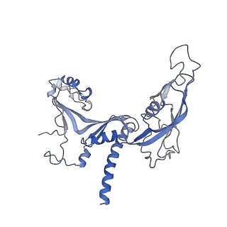 30779_7dn3_C_v1-2
Structure of Human RNA Polymerase III elongation complex