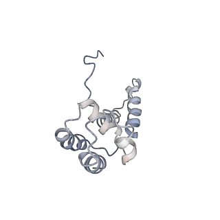 30779_7dn3_D_v1-2
Structure of Human RNA Polymerase III elongation complex