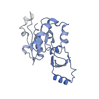 30779_7dn3_E_v1-1
Structure of Human RNA Polymerase III elongation complex