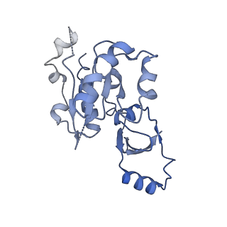 30779_7dn3_E_v1-2
Structure of Human RNA Polymerase III elongation complex