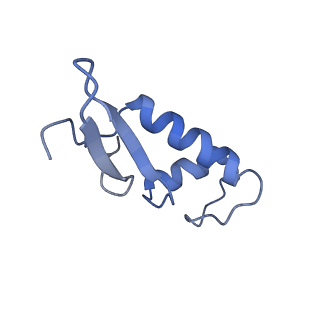30779_7dn3_F_v1-1
Structure of Human RNA Polymerase III elongation complex
