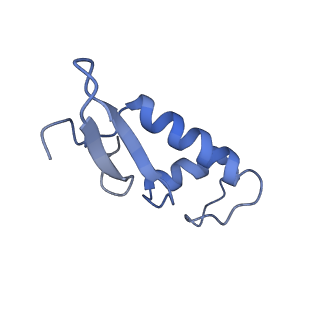 30779_7dn3_F_v1-2
Structure of Human RNA Polymerase III elongation complex