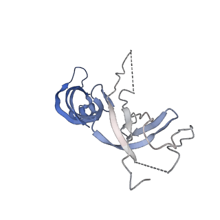 30779_7dn3_G_v1-1
Structure of Human RNA Polymerase III elongation complex