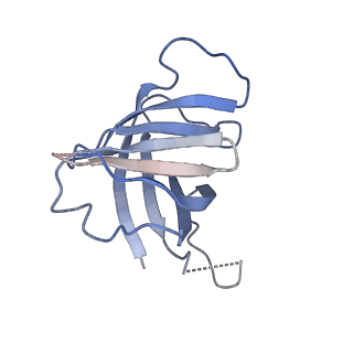 30779_7dn3_H_v1-1
Structure of Human RNA Polymerase III elongation complex