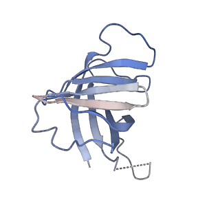 30779_7dn3_H_v1-2
Structure of Human RNA Polymerase III elongation complex