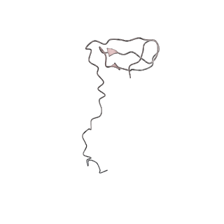 30779_7dn3_I_v1-1
Structure of Human RNA Polymerase III elongation complex