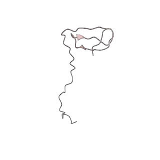 30779_7dn3_I_v1-2
Structure of Human RNA Polymerase III elongation complex