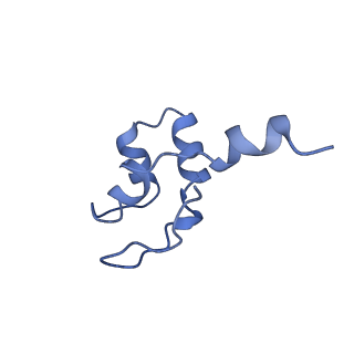 30779_7dn3_J_v1-1
Structure of Human RNA Polymerase III elongation complex