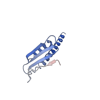 30779_7dn3_K_v1-2
Structure of Human RNA Polymerase III elongation complex