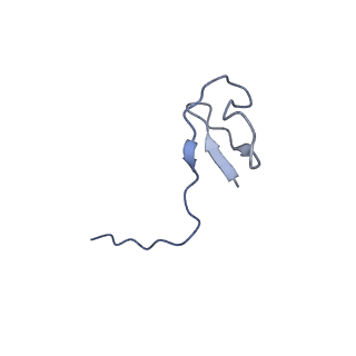 30779_7dn3_L_v1-2
Structure of Human RNA Polymerase III elongation complex