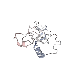 30779_7dn3_M_v1-1
Structure of Human RNA Polymerase III elongation complex