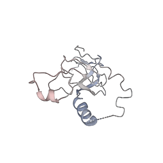 30779_7dn3_M_v1-2
Structure of Human RNA Polymerase III elongation complex