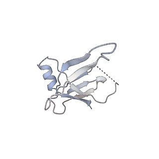 30779_7dn3_N_v1-1
Structure of Human RNA Polymerase III elongation complex