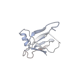 30779_7dn3_N_v1-2
Structure of Human RNA Polymerase III elongation complex