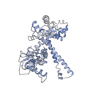 30779_7dn3_O_v1-1
Structure of Human RNA Polymerase III elongation complex