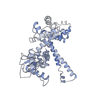 30779_7dn3_O_v1-2
Structure of Human RNA Polymerase III elongation complex