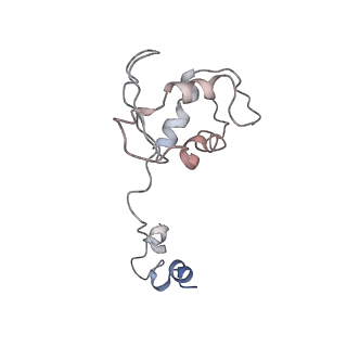 30779_7dn3_P_v1-1
Structure of Human RNA Polymerase III elongation complex