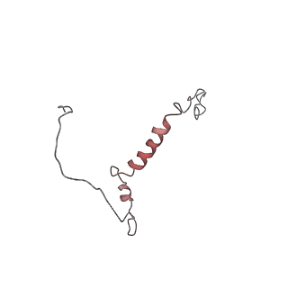 30779_7dn3_Q_v1-1
Structure of Human RNA Polymerase III elongation complex
