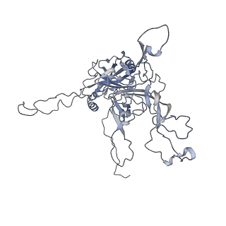 30787_7dnl_B_v1-2
2-fold subparticles refinement of human papillomavirus type 58 pseudovirus in complexed with the Fab fragment of A4B4