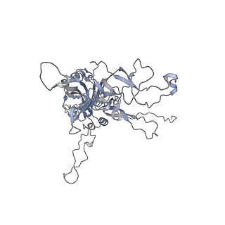 30787_7dnl_C_v1-2
2-fold subparticles refinement of human papillomavirus type 58 pseudovirus in complexed with the Fab fragment of A4B4
