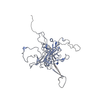 30787_7dnl_E_v1-2
2-fold subparticles refinement of human papillomavirus type 58 pseudovirus in complexed with the Fab fragment of A4B4