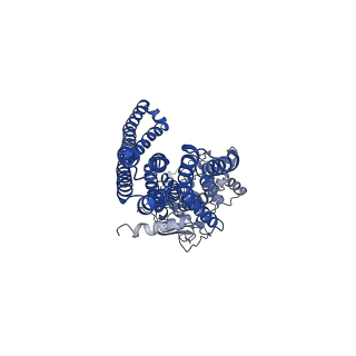 30791_7dnz_A_v1-1
Cryo-EM structure of the human ABCB6 (Hemin and GSH-bound)