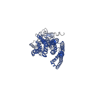 30791_7dnz_B_v1-1
Cryo-EM structure of the human ABCB6 (Hemin and GSH-bound)