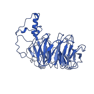 7112_6dnh_B_v1-2
Cryo-EM structure of human CPSF-160-WDR33-CPSF-30-PAS RNA complex at 3.4 A resolution