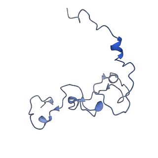 7112_6dnh_C_v1-1
Cryo-EM structure of human CPSF-160-WDR33-CPSF-30-PAS RNA complex at 3.4 A resolution