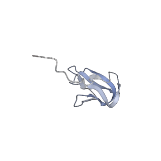 7970_6dnc_AA_v1-4
E.coli RF1 bound to E.coli 70S ribosome in response to UAU sense A-site codon