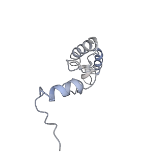 7970_6dnc_AB_v1-3
E.coli RF1 bound to E.coli 70S ribosome in response to UAU sense A-site codon
