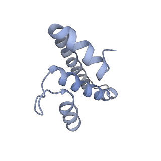 7970_6dnc_BB_v1-3
E.coli RF1 bound to E.coli 70S ribosome in response to UAU sense A-site codon