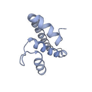 7970_6dnc_BB_v1-4
E.coli RF1 bound to E.coli 70S ribosome in response to UAU sense A-site codon